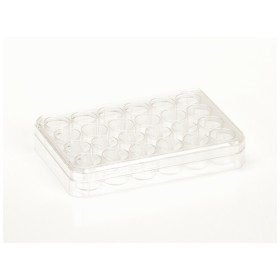 Nunc™ Cell-Culture Treated Multidishes