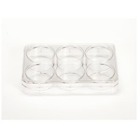 Nunc™ Cell-Culture Treated Multidishes