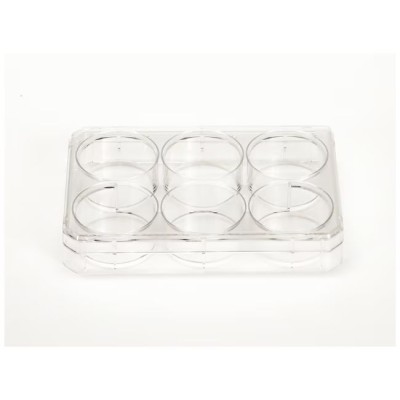 Nunc™ Cell-Culture Treated Multidishes