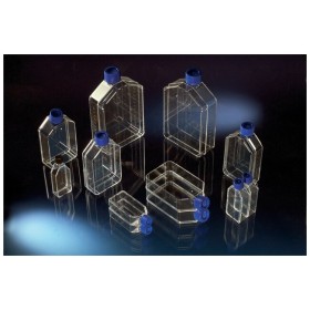 Nunc™ EasYFlask™ Cell Culture Flasks