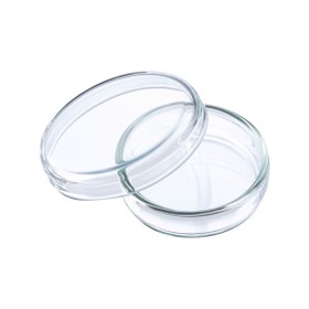 Boite de Pétri diamètre 90mm sans ergot 1 sursac