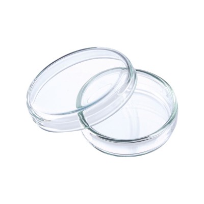 Boite de Pétri diamètre 90mm sans ergot 1 sursac
