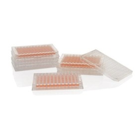 Nunc™ MicroWell™ 96-Well, Nunclon Delta-Treated, Flat-Bottom Microplate