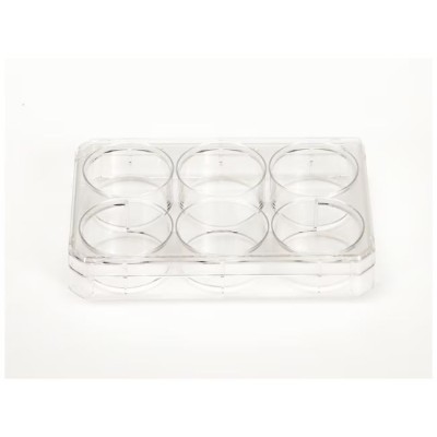 Nunc™ Cell-Culture Treated Multidishes