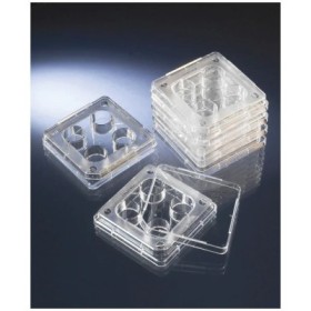 Thermo Scientific™ Boîtes à 4 puits pour FIV Nunc™ - 144444