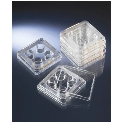 Thermo Scientific™ Boîtes à 4 puits pour FIV Nunc™ - 144444