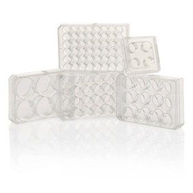Thermo Scientific™ Boîtes multipuits traitées pour la culture cellulaire Nunc™ / 1u
