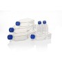 Nunc™ EasYFlask™ Cell Culture Flasks de 25 cm2