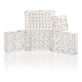 Thermo Scientific™ Boîtes multipuits traitées pour la culture cellulaire Nunc™ / 1u