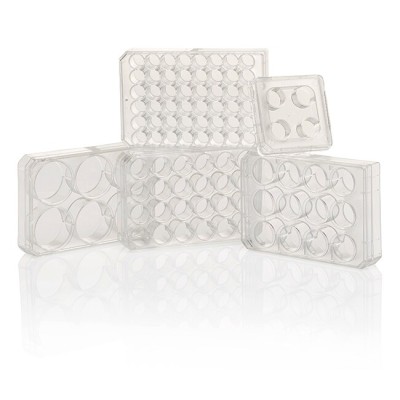 Thermo Scientific™ Boîtes multipuits traitées pour la culture cellulaire Nunc™ / 1u