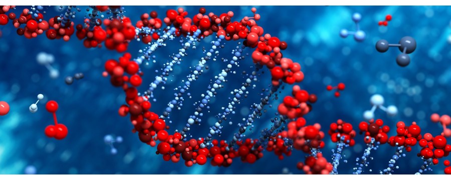 Biologie moléculaire