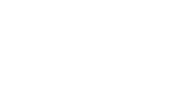 Logo LSI